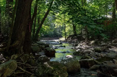 409 & 431 Lower Rawley Lane Hinton VA 22831