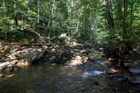 409 & 431 Lower Rawley Lane Hinton VA 22831