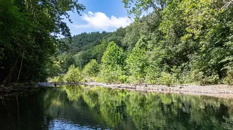 409 & 431 Lower Rawley Lane Hinton VA 22831