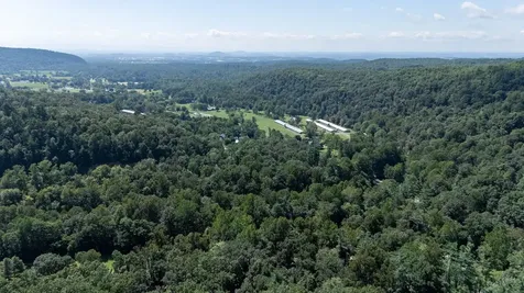 409 & 431 Lower Rawley Lane Hinton VA 22831