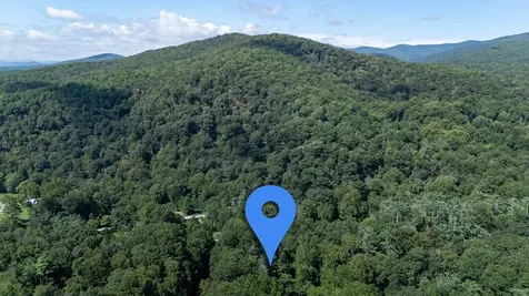 409 & 431 Lower Rawley Lane Hinton VA 22831