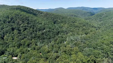 409 & 431 Lower Rawley Lane Hinton VA 22831