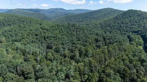 409 & 431 Lower Rawley Lane Hinton VA 22831