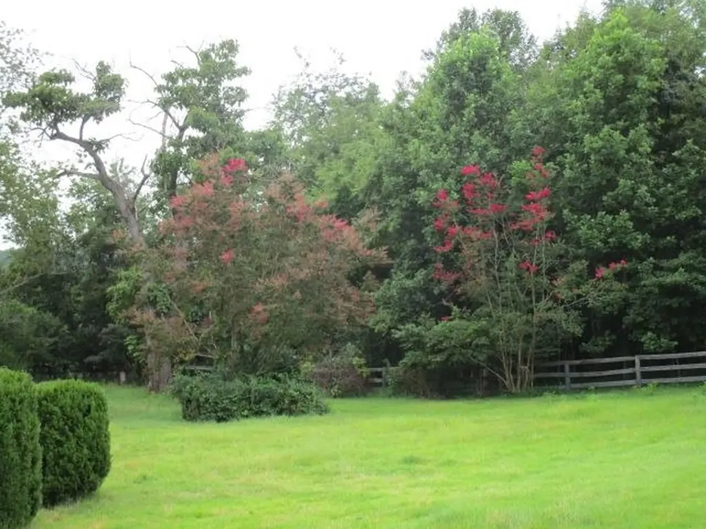 37 Oak Grove Lane Nellysford VA 22958