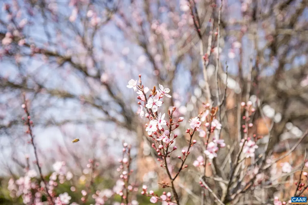 3160 Rocks Farm Court Charlottesville VA 22903