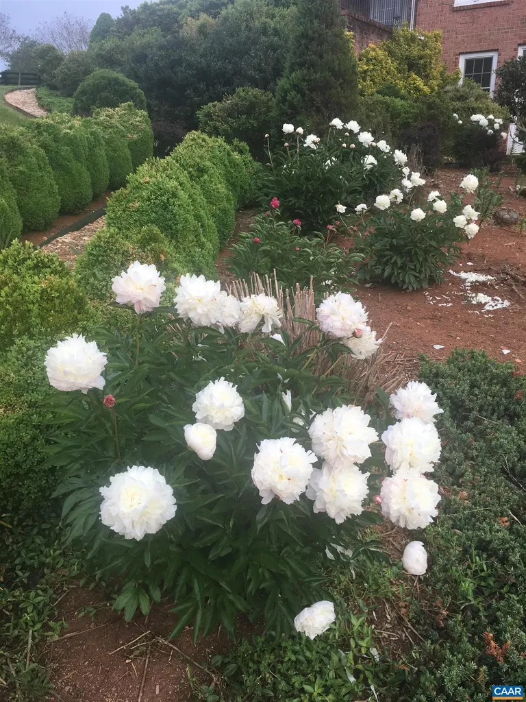 3160 Rocks Farm Court Charlottesville VA 22903