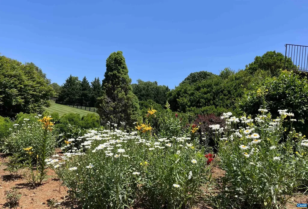 3160 Rocks Farm Court Charlottesville VA 22903