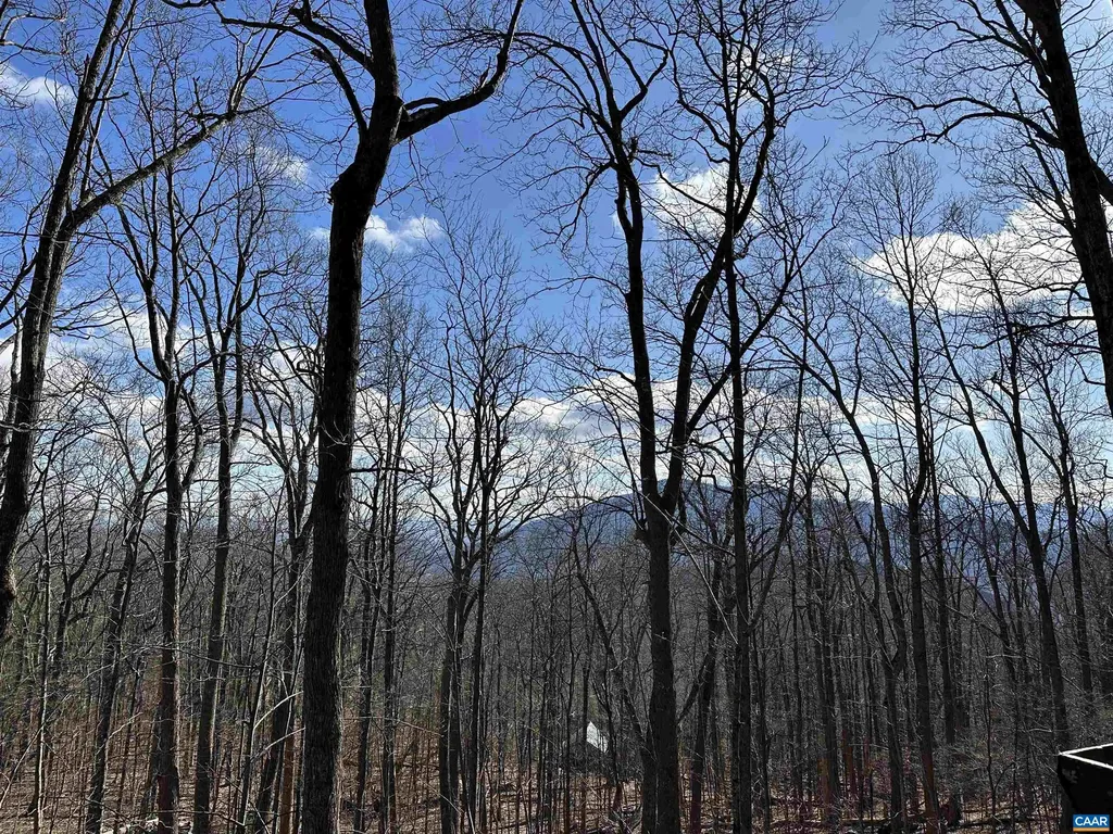 145 Firtree Drive Wintergreen Resort VA 22967