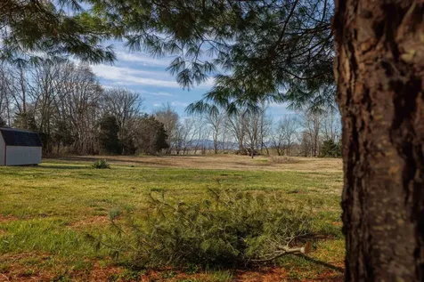 4453 Park Way Elkton VA 22827