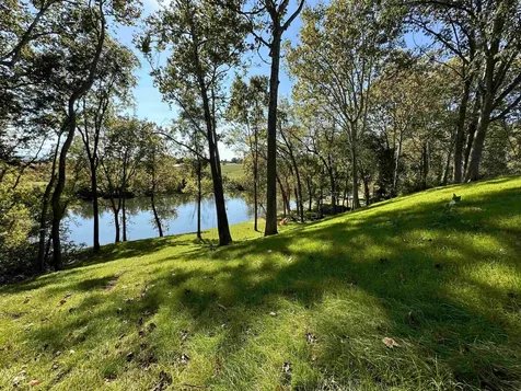 4453 Park Way Elkton VA 22827