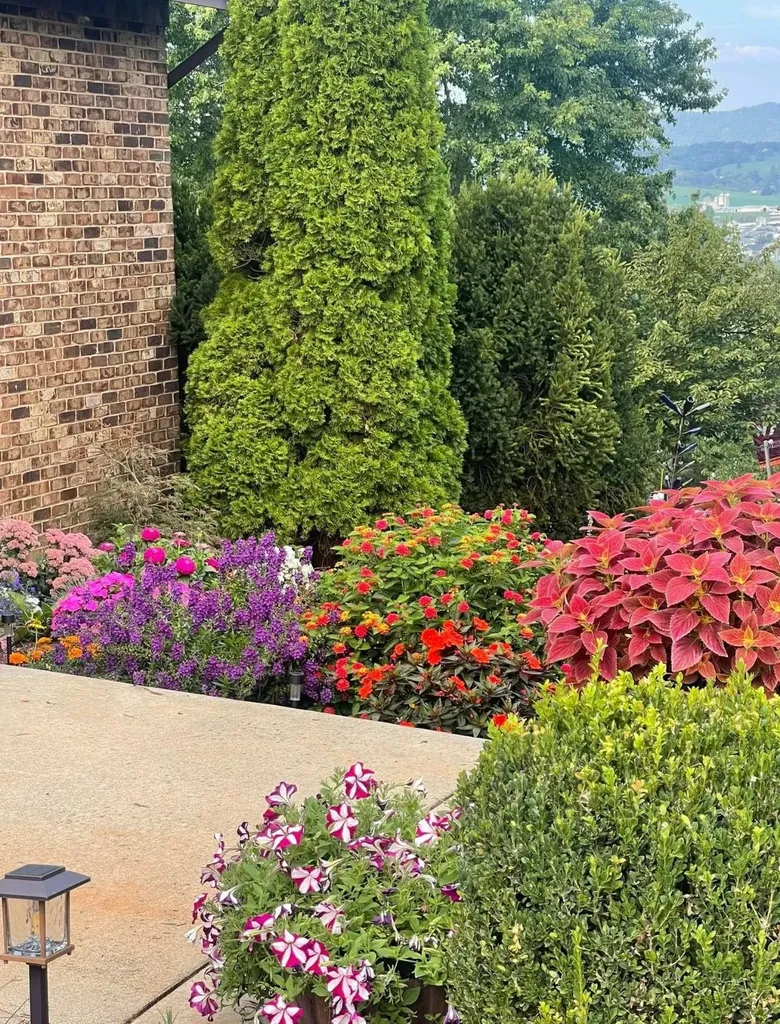 368 Broadmoor Lane Broadway VA 22815