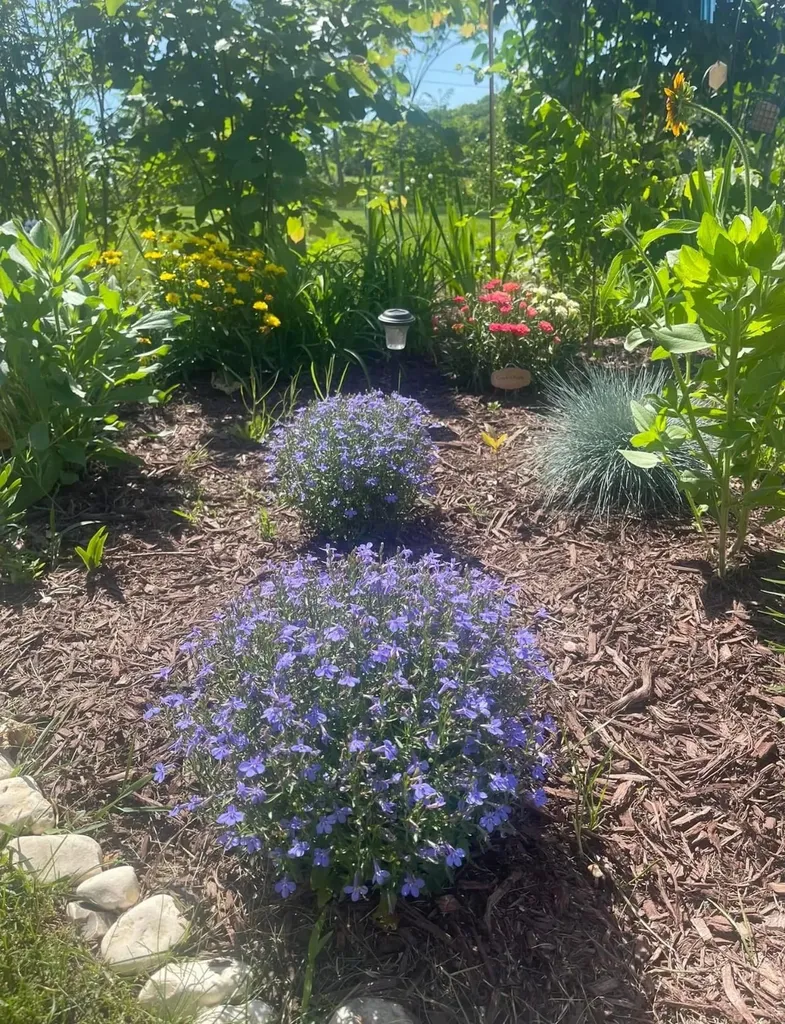 368 Broadmoor Lane Broadway VA 22815