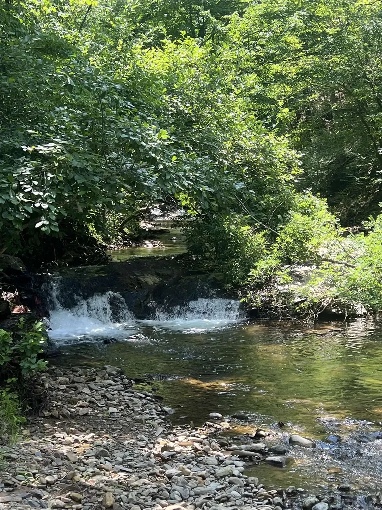 2025 Cutbank Lane Elkton VA 22827