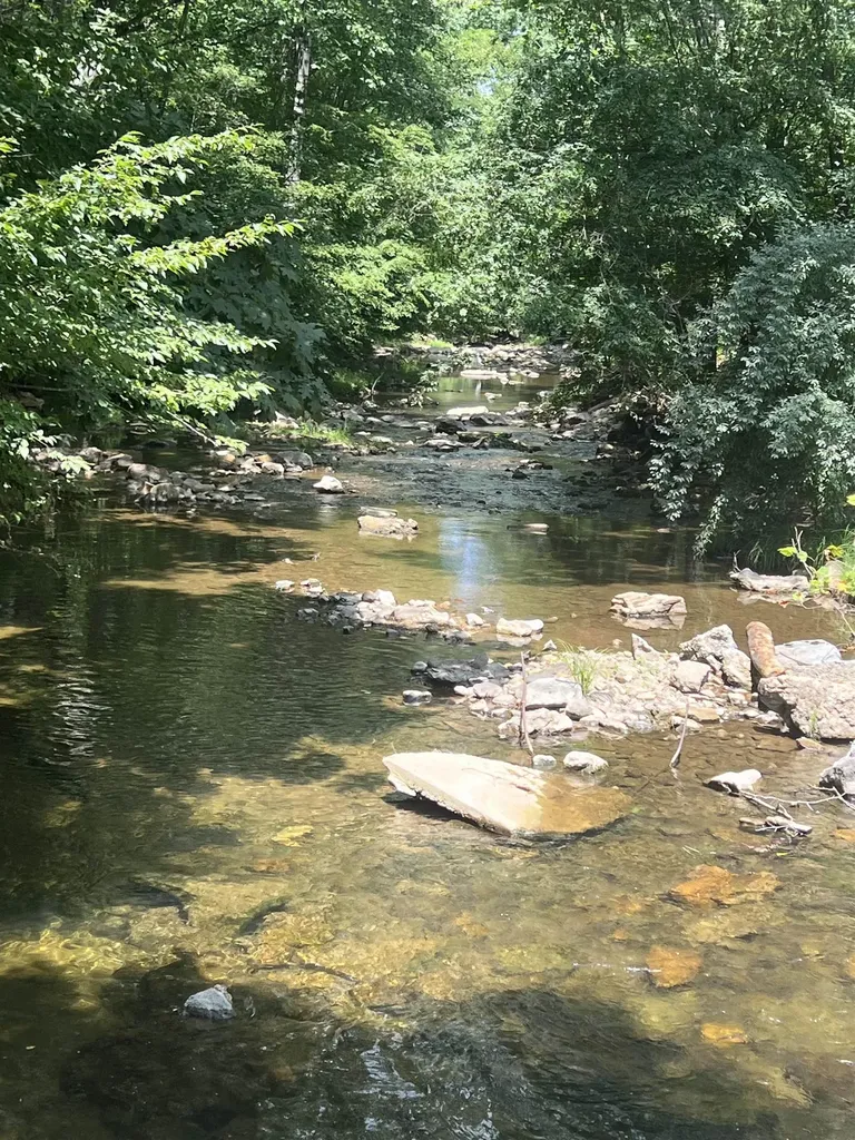 2025 Cutbank Lane Elkton VA 22827