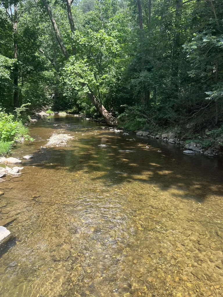 2025 Cutbank Lane Elkton VA 22827