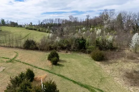 12039 Hupp Road Broadway VA 22815