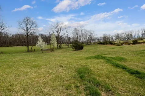 12039 Hupp Road Broadway VA 22815