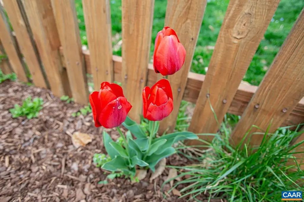 913 Saint Charles Avenue Charlottesville VA 22901