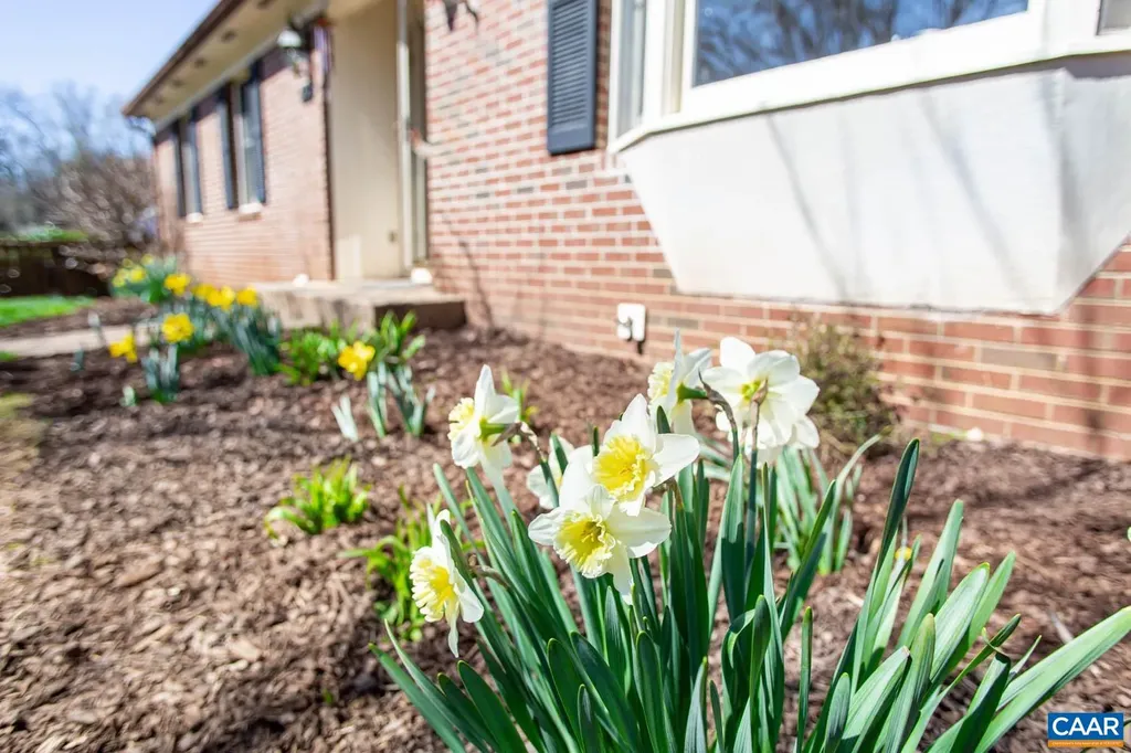 913 Saint Charles Avenue Charlottesville VA 22901