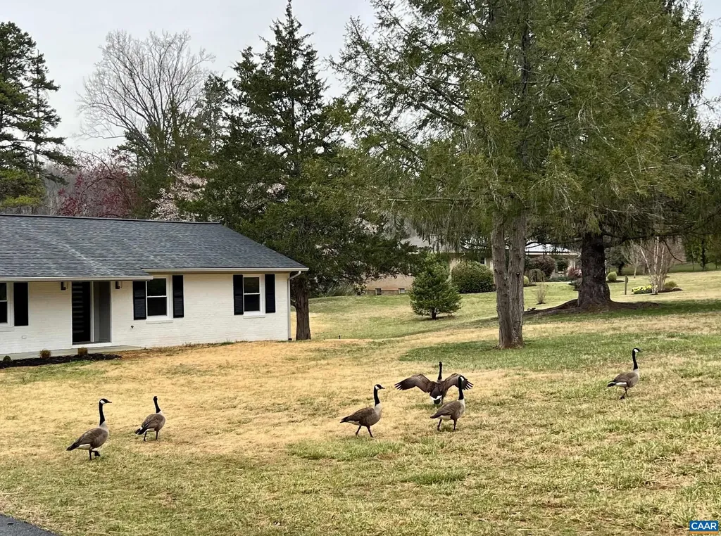 100 Northwest Lane Charlottesville VA 22911