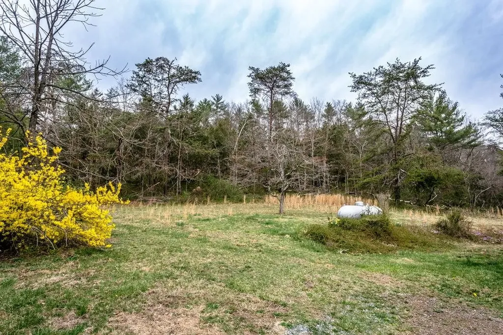 19129 Runions Creek Road Broadway VA 22815