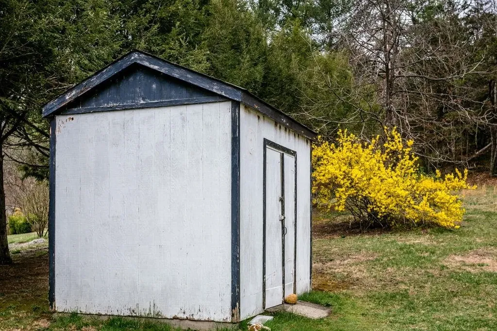 19129 Runions Creek Road Broadway VA 22815