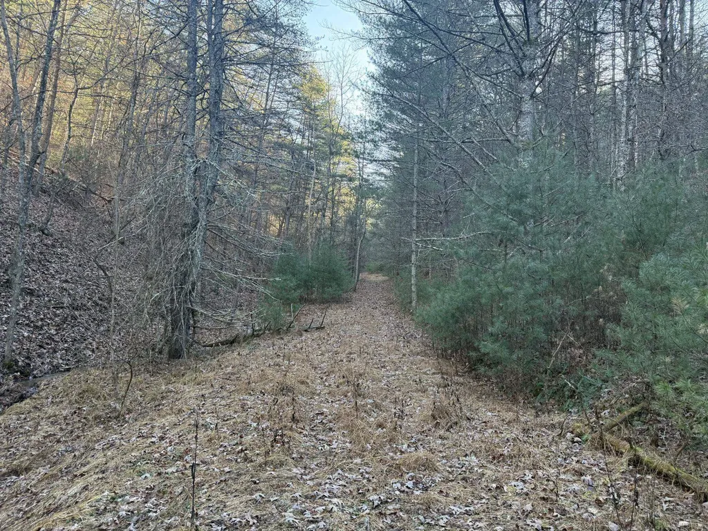 21 Acres Buck Hill Lane Sugar Grove WV 26815