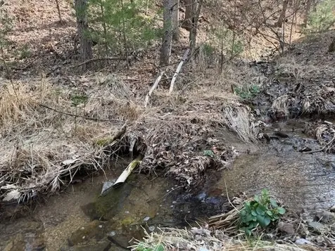 21 Acres Buck Hill Lane Sugar Grove WV 26815