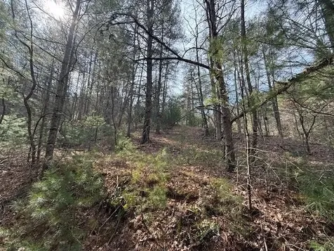 21 Acres Buck Hill Lane Sugar Grove WV 26815