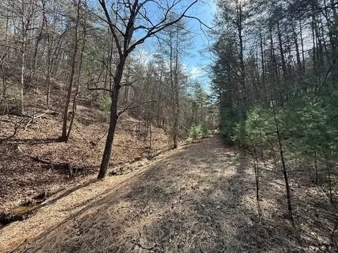 21 Acres Buck Hill Lane Sugar Grove WV 26815