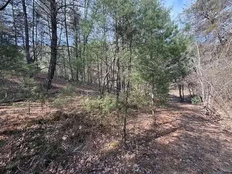 21 Acres Buck Hill Lane Sugar Grove WV 26815