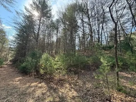 21 Acres Buck Hill Lane Sugar Grove WV 26815