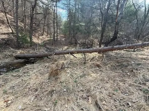 21 Acres Buck Hill Lane Sugar Grove WV 26815