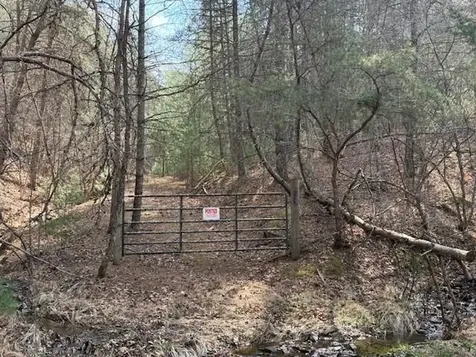 21 Acres Buck Hill Lane Sugar Grove WV 26815