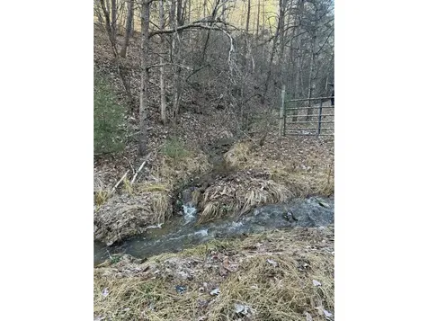 21 Acres Buck Hill Lane Sugar Grove WV 26815