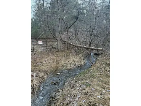 21 Acres Buck Hill Lane Sugar Grove WV 26815