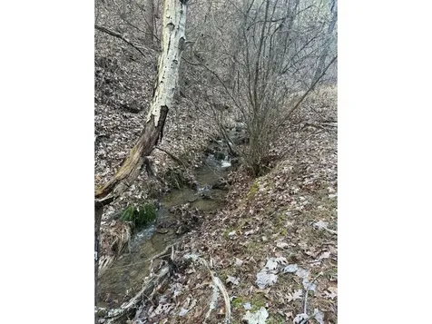 21 Acres Buck Hill Lane Sugar Grove WV 26815