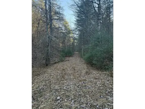 21 Acres Buck Hill Lane Sugar Grove WV 26815