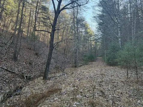 21 Acres Buck Hill Lane Sugar Grove WV 26815