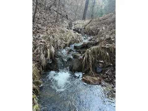 21 Acres Buck Hill Lane Sugar Grove WV 26815