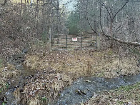 21 Acres Buck Hill Lane Sugar Grove WV 26815