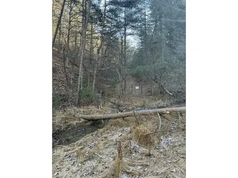 21 Acres Buck Hill Lane Sugar Grove WV 26815