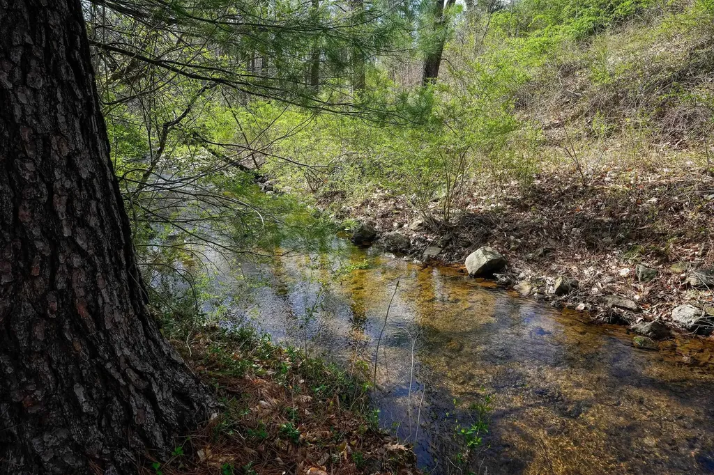 1371 Afton Mountain Road Afton VA 22920