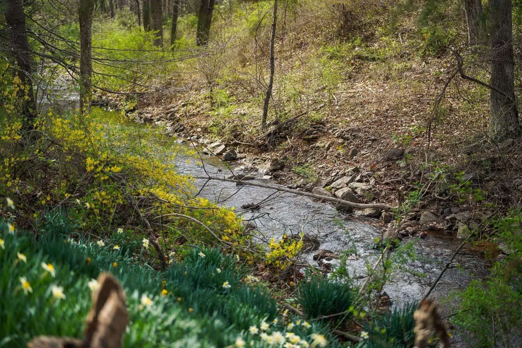 1371 Afton Mountain Road Afton VA 22920