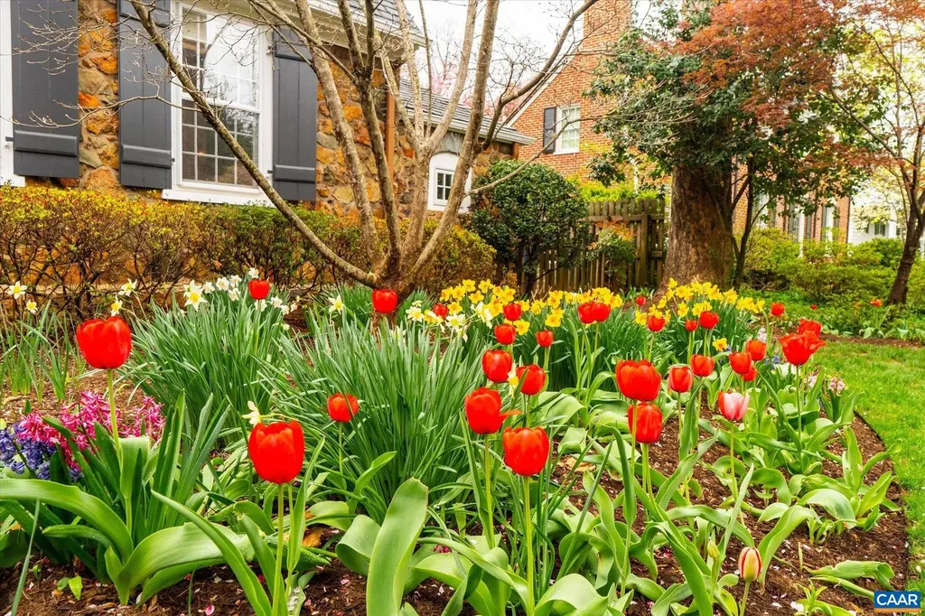 1840 Fendall Avenue Charlottesville VA 22903