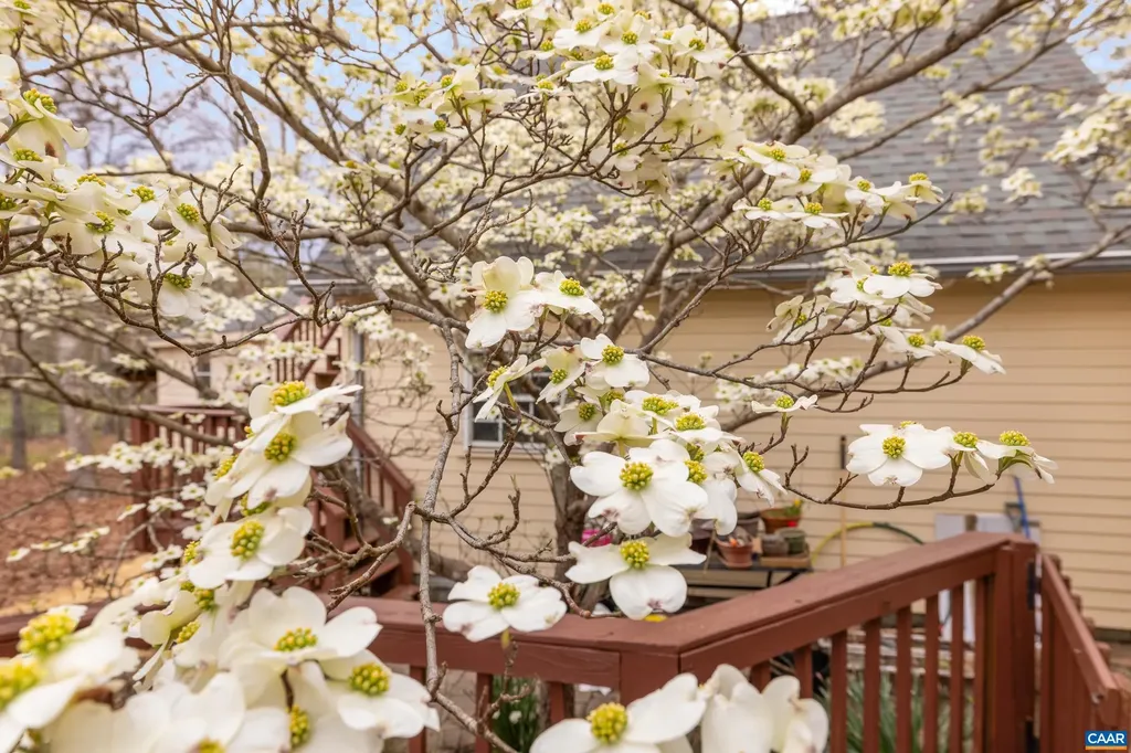 1985 Thomas Jefferson Parkway Charlottesville VA 22902