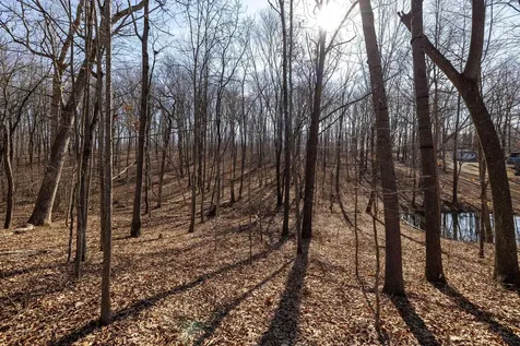 Lot 15 Mont View Lane Luray VA 22835