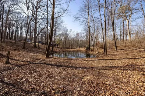 Lot 15 Mont View Lane Luray VA 22835