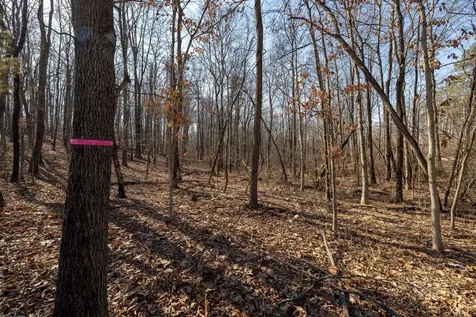 Lot 14 Mont View Lane Luray VA 22835