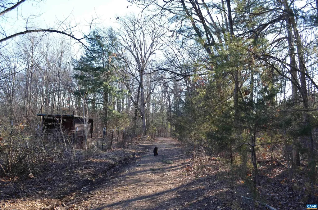 4075 Clark Road Crozet VA 22932